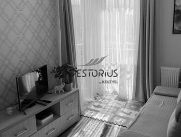 Zdjęcie 14756710