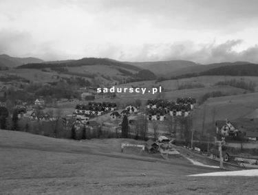 Zdjęcie 14766602
