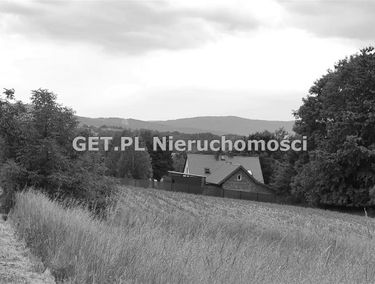 Zdjęcie 14767250
