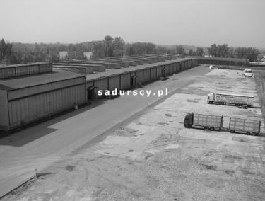 Zdjęcie 14770518