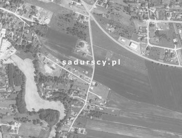 Zdjęcie 14770524