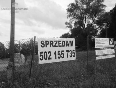 Zdjęcie 14771845