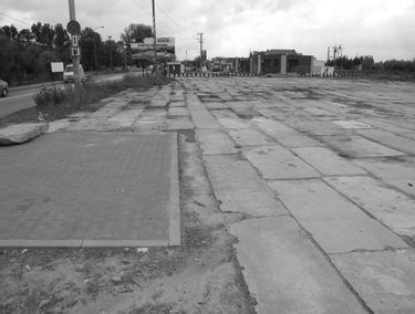 Zdjęcie 14776177