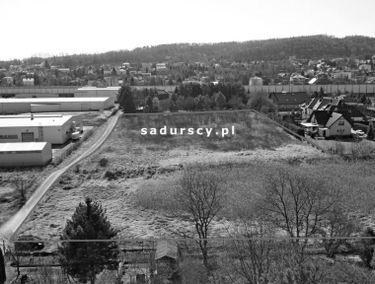 Zdjęcie 14781043