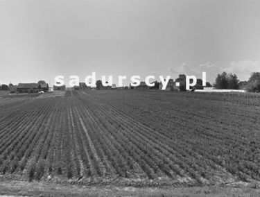 Zdjęcie 14782644