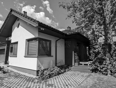 Zdjęcie 14784537