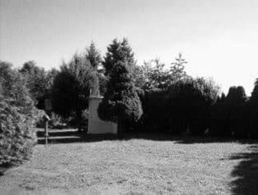 Zdjęcie 14785585