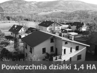 Zdjęcie 14786301