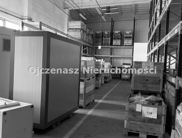 Zdjęcie 14787320