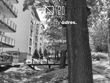Zdjęcie 14787845