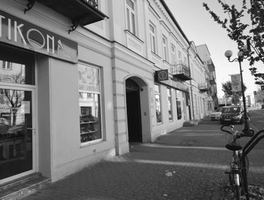 Zdjęcie 14788469