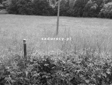 Zdjęcie 14788596