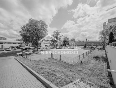 Zdjęcie 14788799