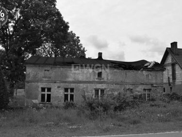 Zdjęcie 14789628