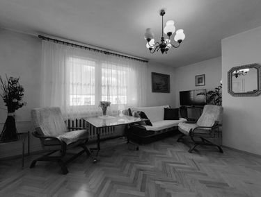 Zdjęcie 14795305
