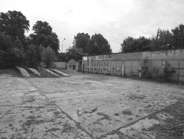Zdjęcie 14795851
