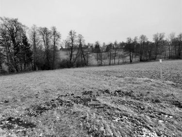 Zdjęcie 14796332