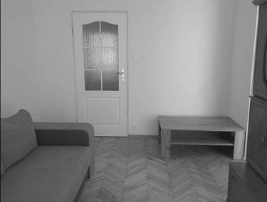 Zdjęcie 14796888