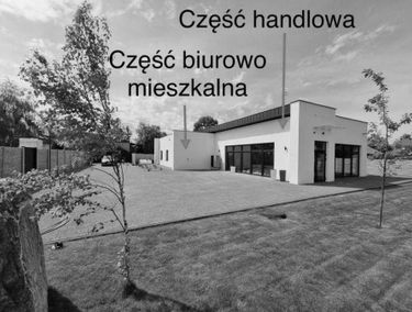 Zdjęcie 14797420