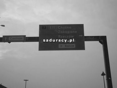 Zdjęcie 14799388