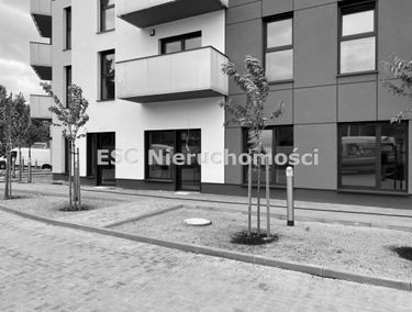 Zdjęcie 14801224