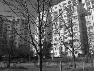 Zdjęcie 14803805