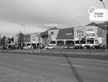 Zdjęcie 14803994