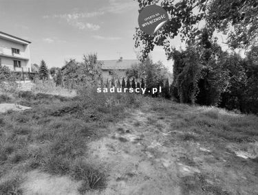 Zdjęcie 14805508