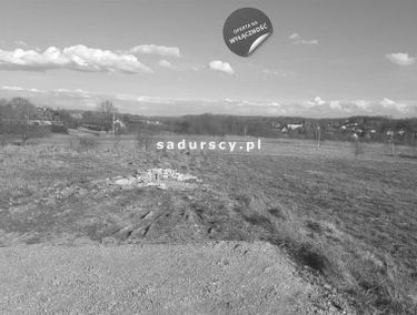 Zdjęcie 14805510