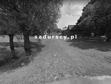 Zdjęcie 14805621