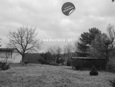 Zdjęcie 14805641