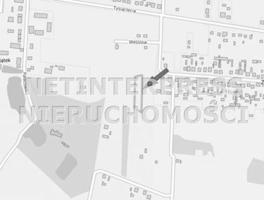 Zdjęcie 14806074