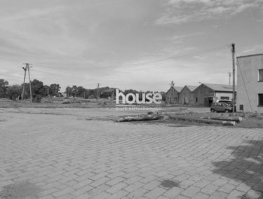 Zdjęcie 14806101