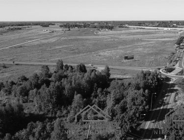 Zdjęcie 14806165