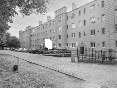 Zdjęcie 14806401