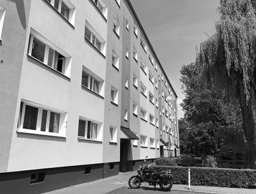Zdjęcie 14811091