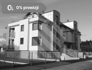 Zdjęcie 14813873
