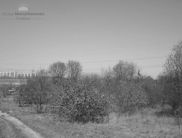 Zdjęcie 14819313