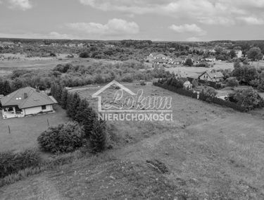 Zdjęcie 14820361