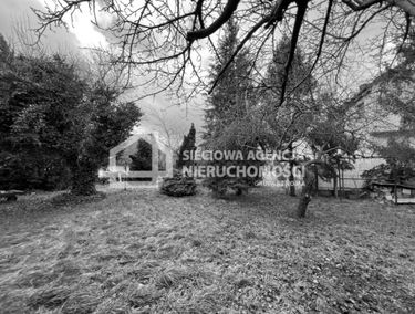 Zdjęcie 14823296