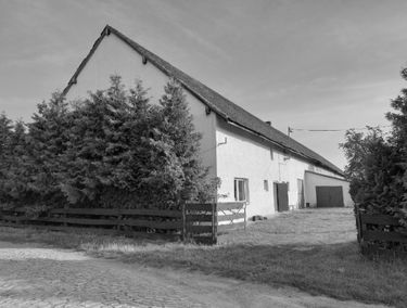 Zdjęcie 14828403