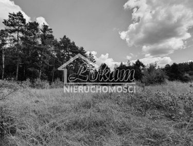 Zdjęcie 14831761