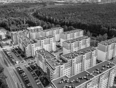 Zdjęcie 14839075