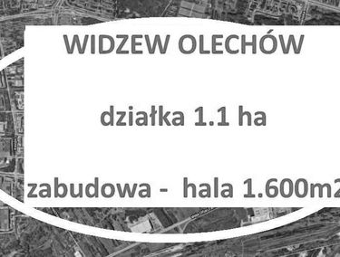 Zdjęcie 14839411
