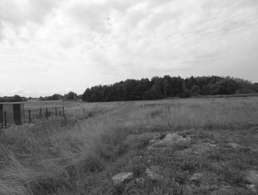 Zdjęcie 14839424