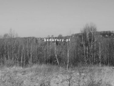 Zdjęcie 14842632