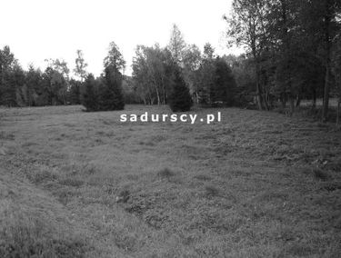 Zdjęcie 14842635