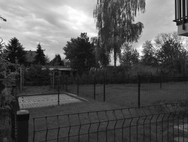 Zdjęcie 14843401