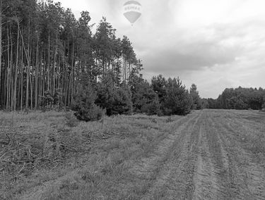 Zdjęcie 14844776