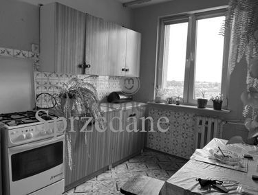 Zdjęcie 14846160